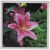 3dRose New York Botanical Gardens, Oriental Lily Bronx Greeting Cards, 6" x 6", Set of 12 (gc_191708_2)