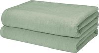 AmazonBasics Quick-Dry Bath Towels, 100% Cotton, Set of 2, Seafoam Green