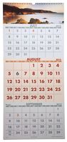 AT-A-GLANCE Visual Organizer Recycled Scenic Three-Month Wall Calendar, Large Wall, 2013 (DMW503-28)