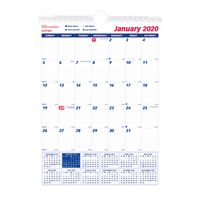 Brownline 2020 Monthly Wall Calendar, 8 x 11 inches (C171101-20)