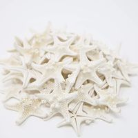 Tumbler Home Knobby Starfish | 1 to 2 Inch | Bulk Set of 50 Small Starfish | Beach & Wedding Decor
