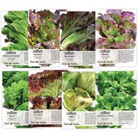 Seed Needs, Lettuce Lovers Seed Collection (8 Individual Packets) Non-GMO Seeds