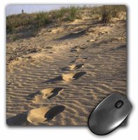 3dRose LLC 8 X 8 X 0.25 Inches Virginia Beach, Footprints in the Beach Sand Inti St. Clair Mouse Pad (mp_95077_1)