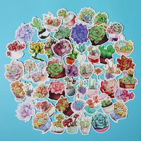50 PCS Cactus and Succulent Plants Decals Stickers for Laptop Cars Guitar Bumper Punk Classic Vinyl Waterproof Graffiti (Cactus and Succulent Plants)