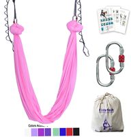 Aerial Yoga Hammock 5.5 Yards Premium Aerial Silk Fabric Yoga Swing for Antigravity Yoga Inversion Include Daisy Chain,Carabiner and Pose Guide (Cherry Pink)