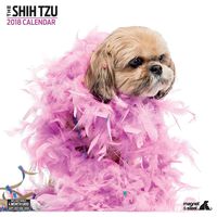 Shih Tzu 2018 Contemporary Wall Calendar