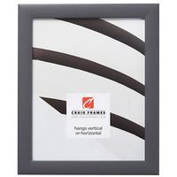Craig Frames 23247635 Picture Frame, 20 x 26 Inch, Grey