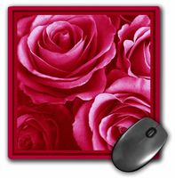 3dRose Close Up of Dreamy Lipstick Pink Rose Bouquet Mouse Pad (mp_29825_1)