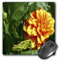 3dRose LLC 8 x 8 x 0.25 Inches Dahlia Flower and Grasshopper Photography Flowers Mouse Pad (mp_6624_1)