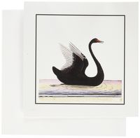 3dRose Framed Beautiful Art Deco Black Swan 6 x 6 Inches Greeting Cards, Set of 12 (gc_48177_2)