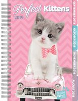 Turner Licensing Studio Pets - Kittens 2019 Tabbed Planner (19998420242)