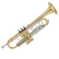 Kaizer TRP-2000LQRC 2000 Series Double Braced B Flat Bb Trumpet - Gold