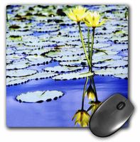 3dRose LLC 8 x 8 x 0.25 Inches Yellow Mirrored Water Lilies Mouse Pad (mp_56988_1)