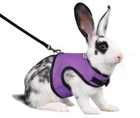 Niteangel Adjustable and Breathable Mesh Harness with Lead for Rabbit (S, Purple)