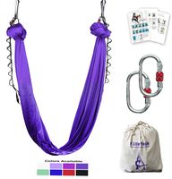 F.Life Aerial Yoga Hammock 5.5 Yards Include Daisy Chain,Carabiner and Pose Guide (Dark Purple)