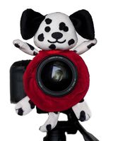 Shutter Huggers Dalmatian Shutter Hugger DAL001
