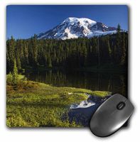3dRose LLC 8 x 8 x 0.25 Inches Mouse Pad, Mount Rainier in Reflection Lake, Paintbrush - Jamie and Judy Wild (mp_95923_1)