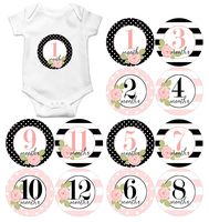 Gift Set of 12 Round Keepsake Photography Monthly Baby Stickers with Pink and Black Roses MOSG175