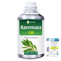 Ravensara (Ravensara Aromatic) Pure Natural Aromatherapy Therapeutic Uncut Undiluted Essential Oil 5000ml/169 fl. oz. Express Shipping