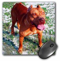 3dRose LLC 8 x 8 x 0.25 Inches American Pit Bull Mouse Pad (mp_1045_1)