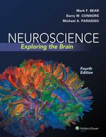 Neuroscience: Exploring the Brain Fourth, North Americ Edition by Bear PhD, Mark F., Connors PhD, Barry W., Paradiso PhD, Mich (2015) Hardcover