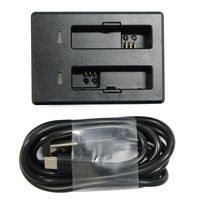 SJCAM Accessories USB Dual Slot Battery Charger Compatible with SJCAM M20 Underwater Waterproof Action Camera