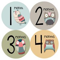 Months In Motion Gender Neutral Monthly Baby Milestone Stickers - Onesie Month Sticker - Infant Photo Prop for First Year - Shower Gift - Newborn Keepsakes - Unisex Boy or Girl - Animals Owl