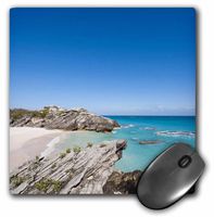 3dRose LLC 8 x 8 x 0.25 Inches Mouse Pad, Michael DeFreitas (mp_70018_1)