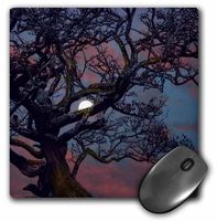 3dRose LLC 8 x 8 x 0.25 Inches Memory of The Moon Mouse Pad (mp_13730_1)