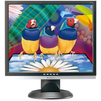 Viewsonic VA926G 19-Inch LCD Monitor with Digital and Analog Dual Inputs and Energy Star 5.0 - Black