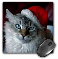 3dRose LLC 8 x 8 x 0.25 Inches Christmas Cat Mouse Pad (mp_4576_1)