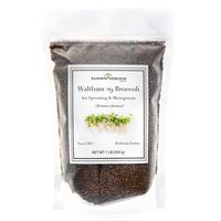 Broccoli Sprouting Seeds for Broccoli Sprouts & Microgreens | Waltham 29 Variety | Non GMO Heirloom Seeds | 1 LB Resealable Bag | Perfect for Sprouting Jar & Seed Tray | Rainbow Heirloom Seed Co.