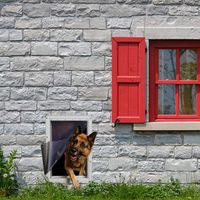Ideal Pet Products Designer Series Ruff-Weather Pet Door Wall Installation Kit, Super Large, 15" x 23.5" Flap Size