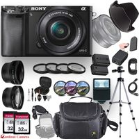 Sony Alpha a6000 (Black) E-Mount Mirrorless Camera with Sony E 16-50mm f/3.5-5.6 OSS Lens + Professional Accessory-Kit Bundle