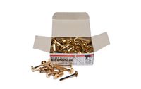 Charles Leonard Fasteners, Round Head, Brass Plated, 1.50 Inch Shank, 12 MM Head, 10 Boxes of 100 Each (6R-BP)