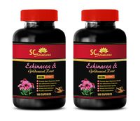 antioxidant Vitamins - Echinacea & Goldenseal Root 300MG - goldenseal Capsules - 2 Bottles (120 Capsules)