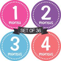 Baby Monthly Milestone Stickers for Girls Stickers - Baby Milestone Stickers Girl - Month Stickers for Baby Girl Stickers - Baby Month Stickers - Baby Girl Monthly Stickers - Baby Months Milestone