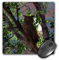 3dRose LLC 8 x 8 x 0.25 Inches Owl and The Moon Mouse Pad (mp_13678_1)