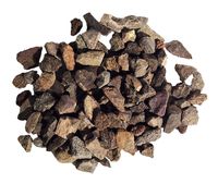 Genuine Fossil Dinosaur Bone Educational Bulk Fossils - 1 lb from DINOSAURS ROCK - 40+ specimens