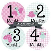 Months in Motion Baby Monthly Stickers - Baby Milestone Stickers - Newborn Girl Stickers - Month Stickers for Baby Girl - Baby Girl Stickers - Newborn Monthly Milestone - Pink Bugs - Style 317