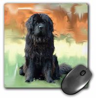 3dRose LLC 8 x 8 x 0.25 Inches Mouse Pad, New Found Land (mp_4825_1)