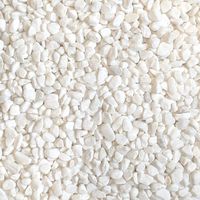 Midwest Hearth Natural Decorative White Bean Pebbles 1/5" Size (10-lb Bag)