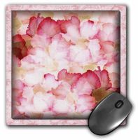 3dRose LLC 8 x 8 x 0.25 Inches Mouse Pad, Pink and Red Rose Petals (mp_36581_1)
