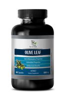 Energy boosters for Women - Olive Leaf Extract 500MG - Dietary Supplement - Olive Leaf Extract - 1 Bottle (60 Capsules)