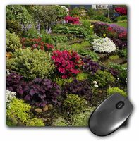 3dRose LLC 8 x 8 x 0.25 Inches Mouse Pad, Oregon, Tulips, Azaleas, Phlox, Candytuft Flowers, Jaynes Gallery (mp_93599_1)