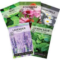 Sow Right Seeds - Herbal Tea Collection - Lemon Balm, Chamomile, Mint, Lavender, Echinacea Herb Seed for Planting; Non-GMO Heirloom Seed, Instructions to Plant Indoor or Outdoor; Great Gardening Gift