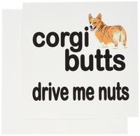 3dRose Greeting Cards, 6 x 6 Inches, Pack of 6, Corgi Butts Drive Me Nuts (gc_172000_1)