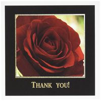 3dRose Red Rose Frame in Gold and Black Thank You Greeting Cards, Set of 12 (gc_77284_2)