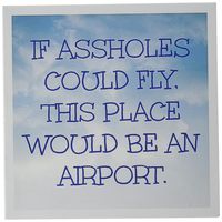 3dRose Greeting Cards, 6 x 6 Inches, Pack of 12, If Assholes Could Fly Quote (gc_201905_2)