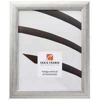 Craig Frames 23247944 Picture Frame, 22 x 34 Inch, Distressed Silver